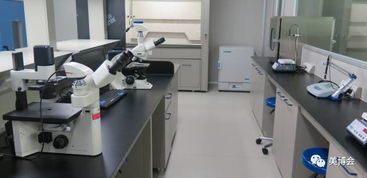 中通 以企业治理护航，打造安全天然有效的健康产品与服务生态